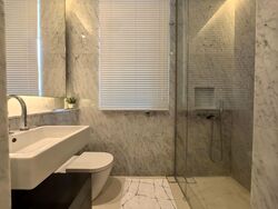 Scotts Square (D9), Apartment #587133341
